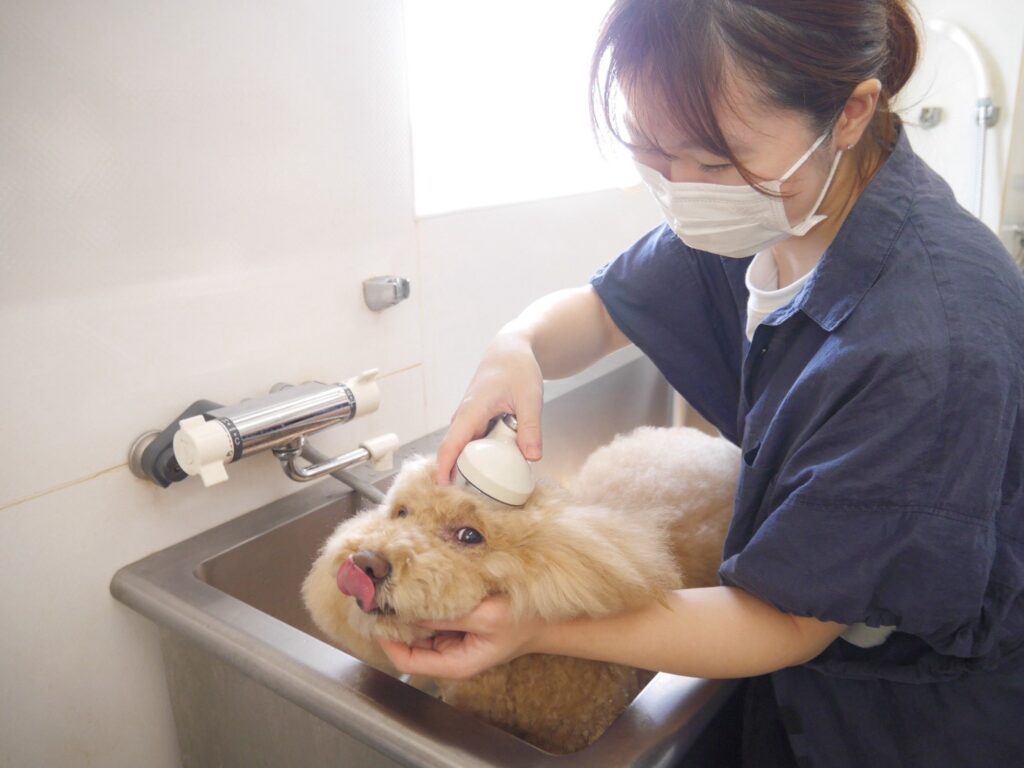 トリマーのおしごと